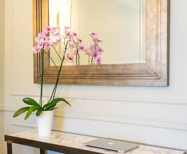 Ormos Luxury Elia 公寓 奥马斯帕纳吉亚斯